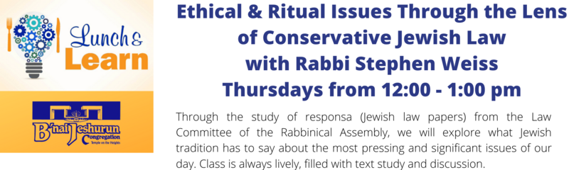 Banner Image for Ethical & Ritual Issues Through the Lens of Conservative Jewish Law with Rabbi Stephen Weiss