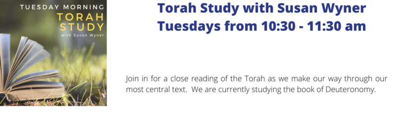 Banner Image for Torah Study with Susan Wyner